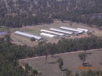 CEFN Clifton Pig Farm